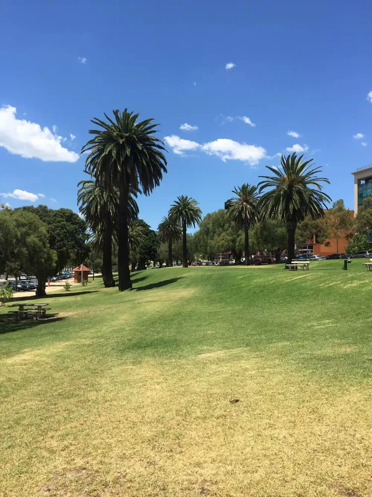 Yabo- 澳大利亚选手 